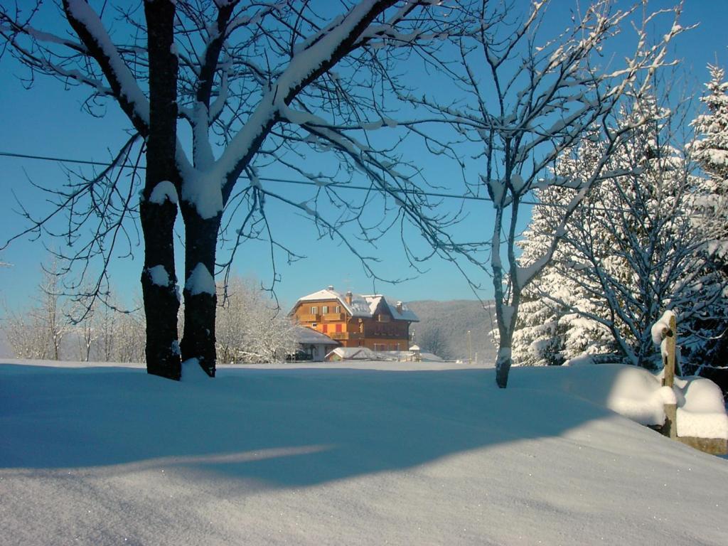 Hotel da Barba B&B Asiago Bagian luar foto