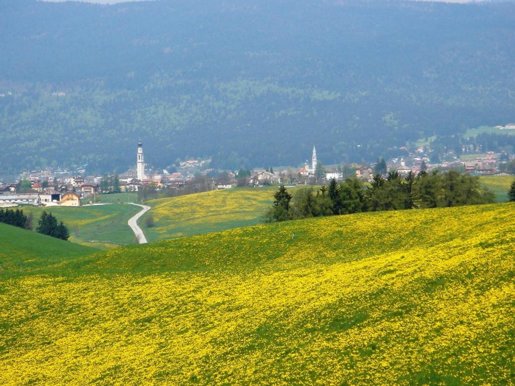 Hotel da Barba B&B Asiago Bagian luar foto