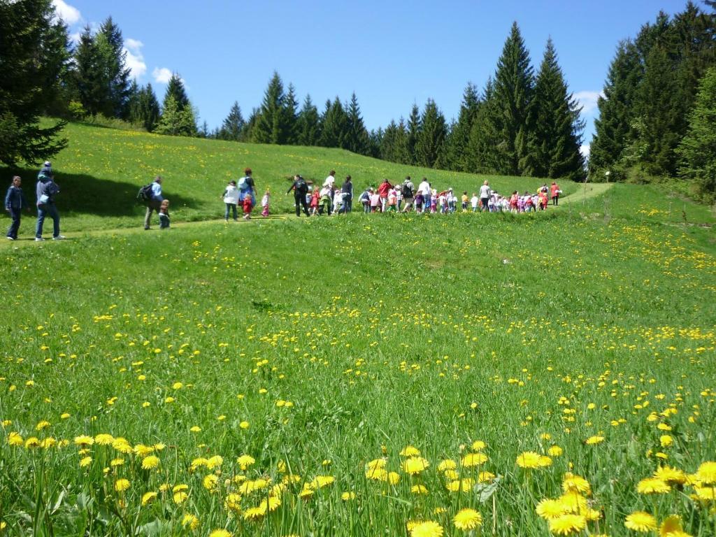 Hotel da Barba B&B Asiago Bagian luar foto