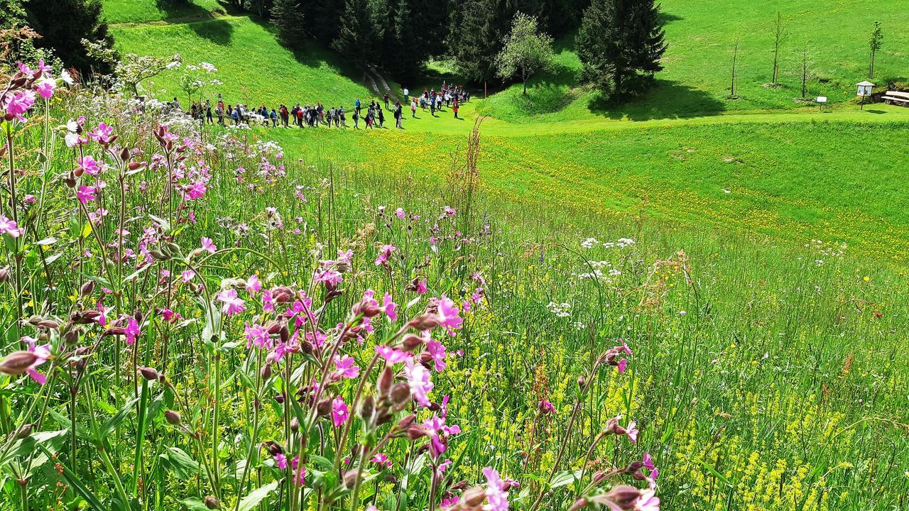 Hotel da Barba B&B Asiago Bagian luar foto